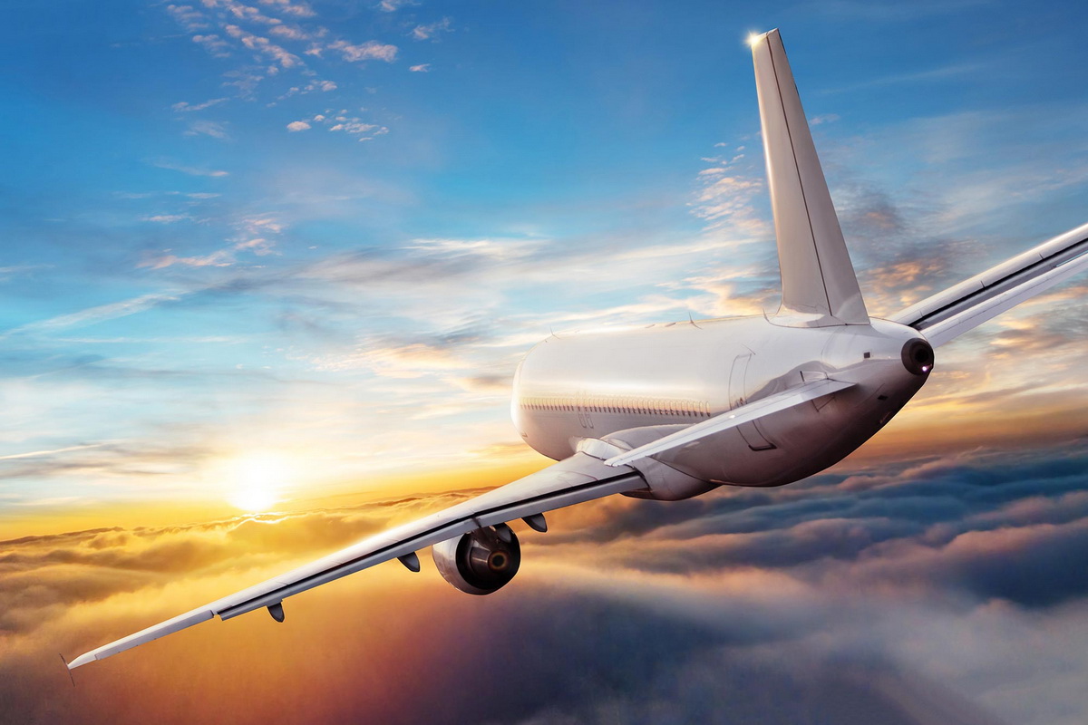 Domestic Flights